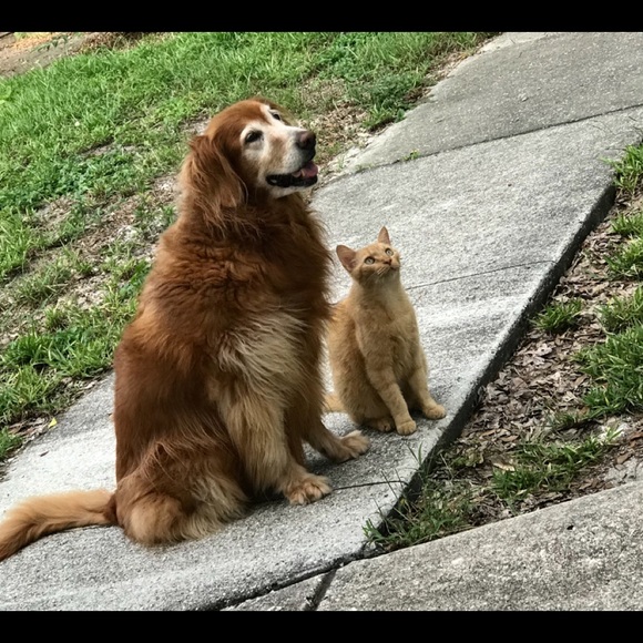 Meet your Posher, Sally - Picture 1 of 6